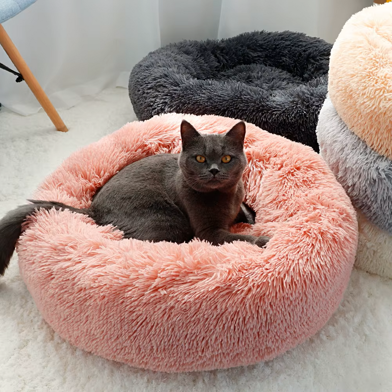 Cama Nuvem para Cães e gatos