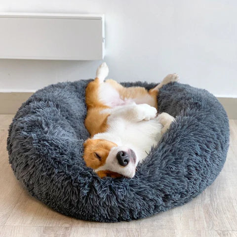 Cama Nuvem para Cães e gatos