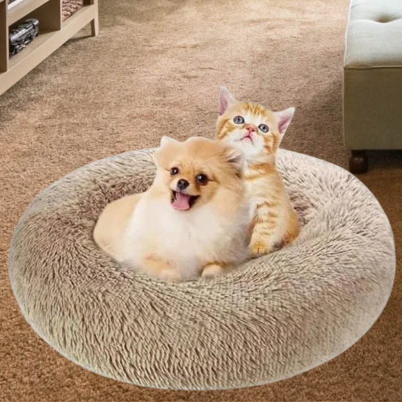 Cama Nuvem para Cães e gatos